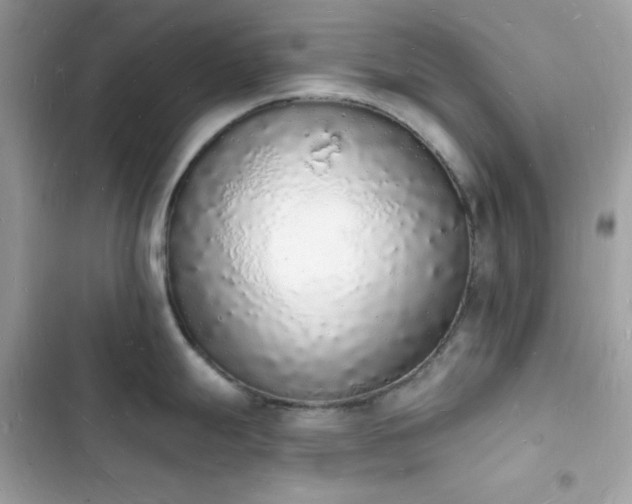 X0000103971247200809191527