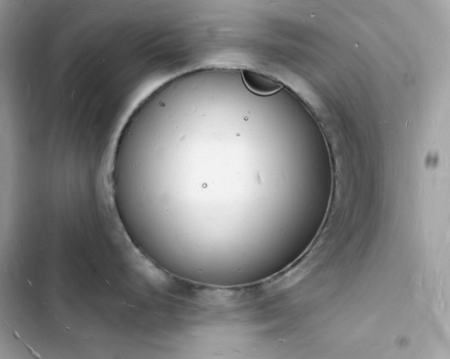 X0000103971248200809191527