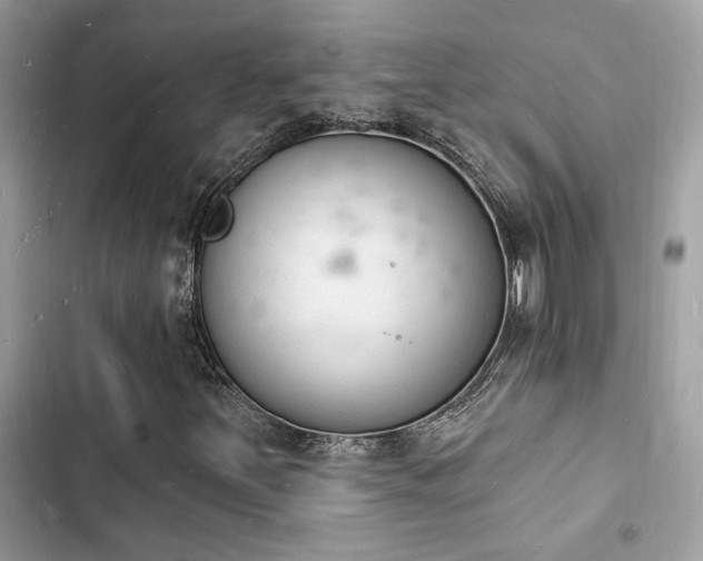 X0000103971251200809191526