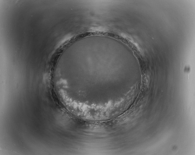 X0000103971254200809191526