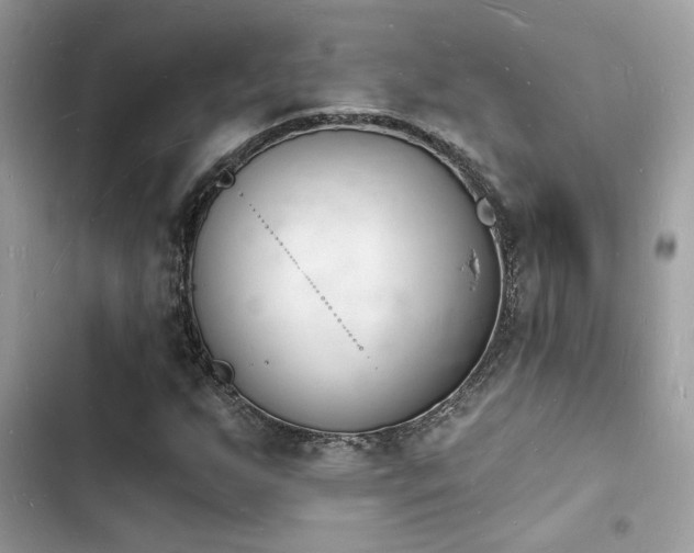 X0000103971255200809191526