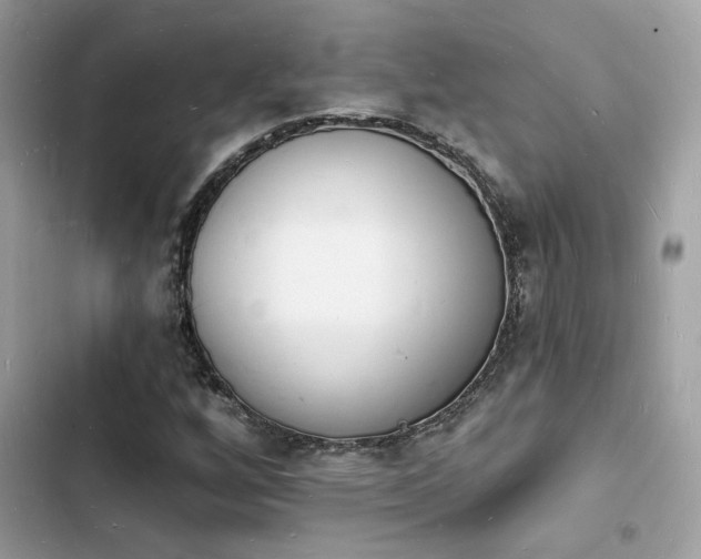 X0000103971256200809191526