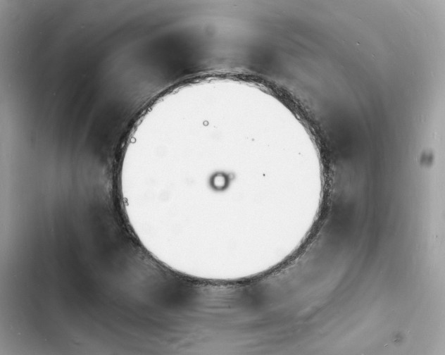 X0000103971257200809191526