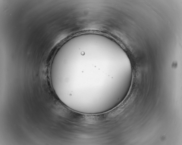 X0000103971258200809191526