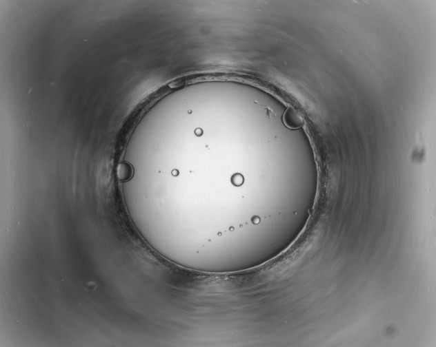 X0000103971259200809191526