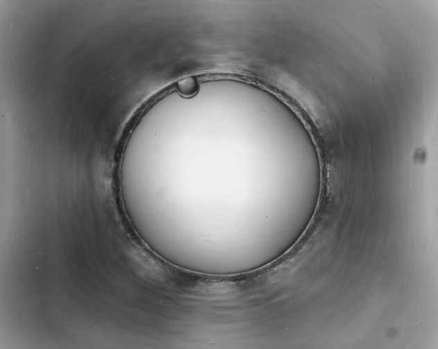 X0000103971260200809191526