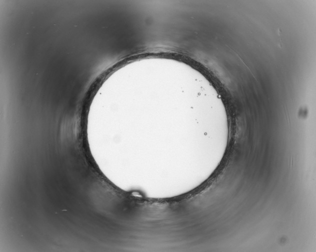 X0000103971261200809191526