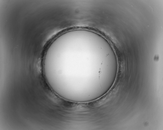 X0000103971262200809191526