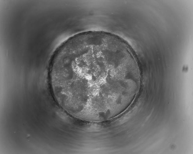 X0000103971263200809191526