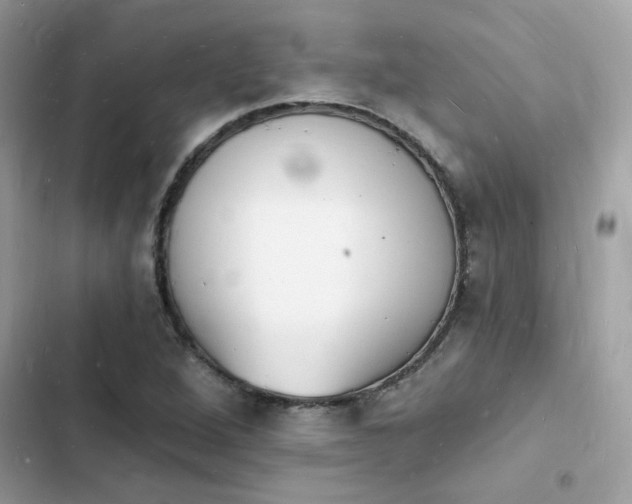 X0000103971264200809191526