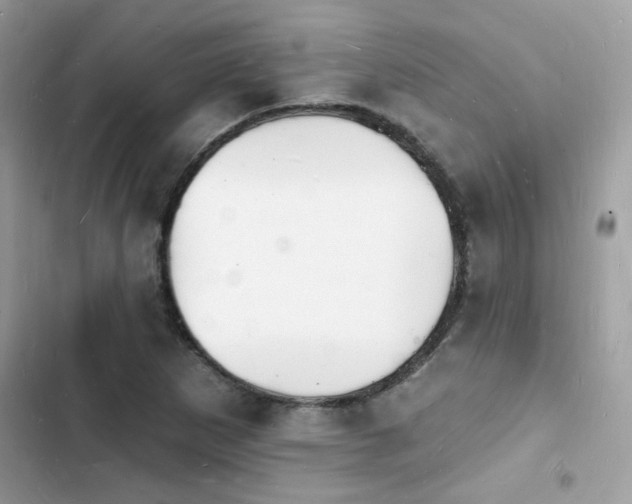 X0000103971265200809191526