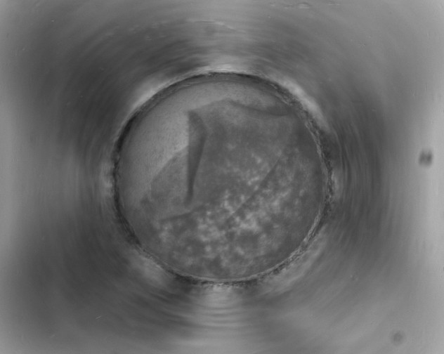 X0000103971266200809191526