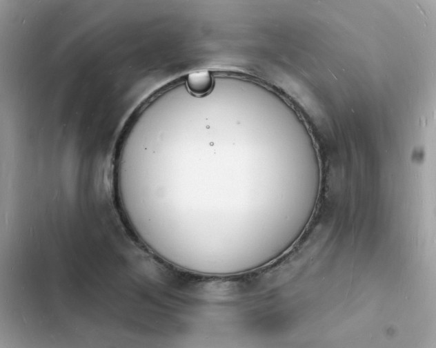 X0000103971268200809191526