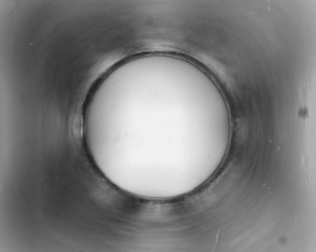 X0000103971269200809191526