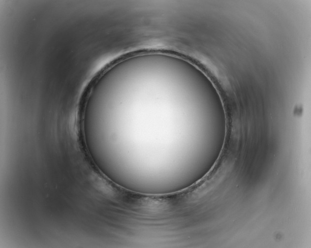 X0000103971270200809191526