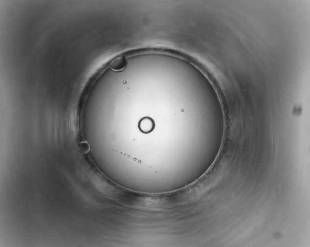 X0000103971271200809191526