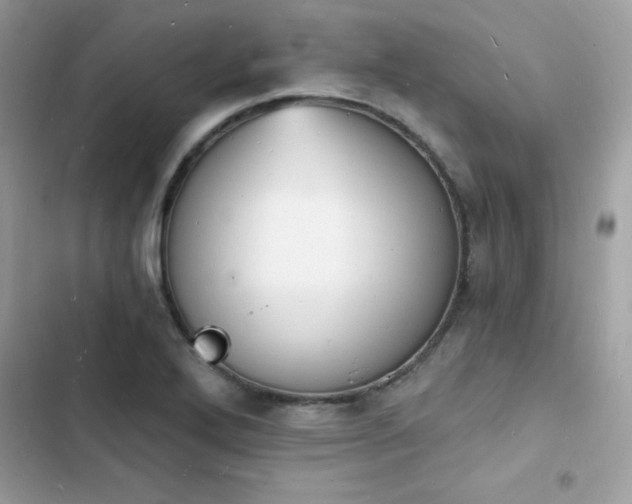 X0000103971272200809191526