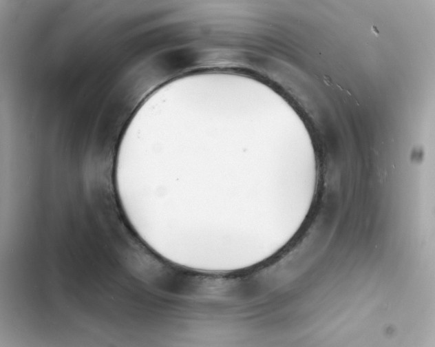 X0000103971273200809191526