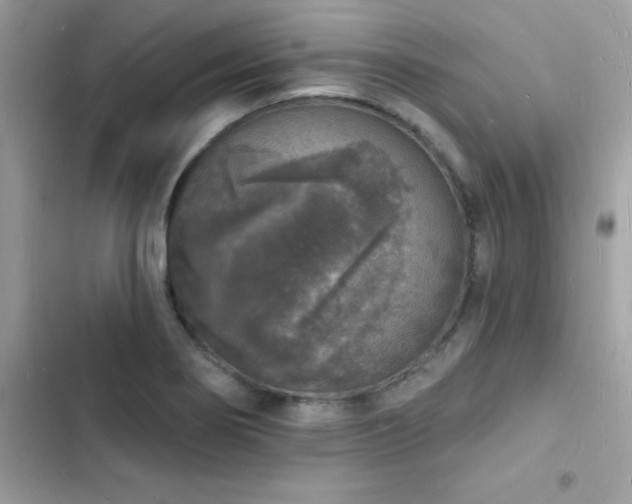 X0000103971274200809191526