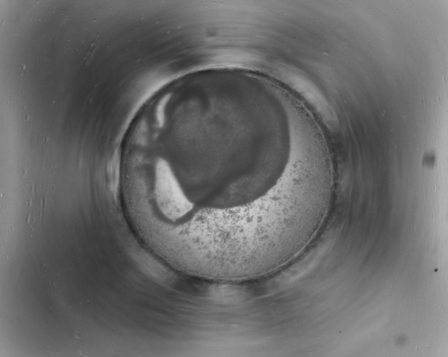 X0000103971275200809191526