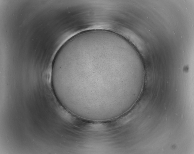 X0000103971276200809191526