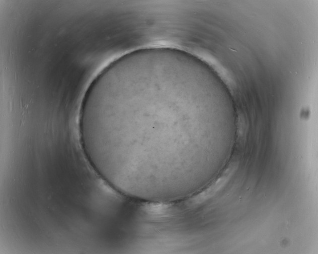 X0000103971278200809191526