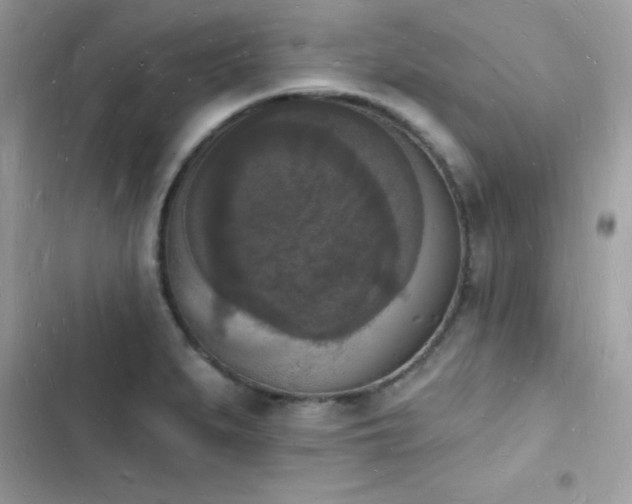 X0000103971279200809191526