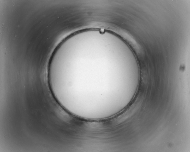 X0000103971280200809191526