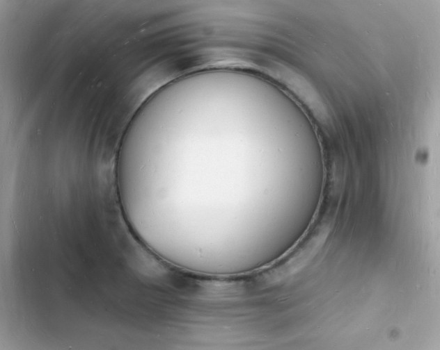 X0000103971281200809191526