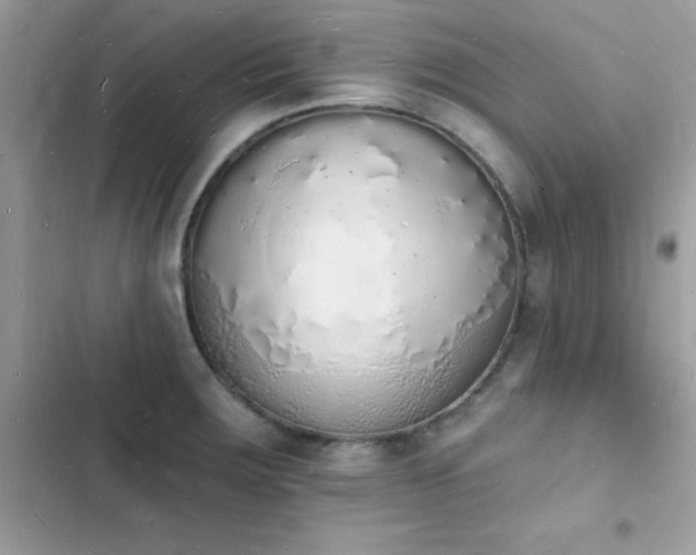 X0000103971283200809191526