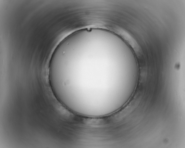 X0000103971284200809191526