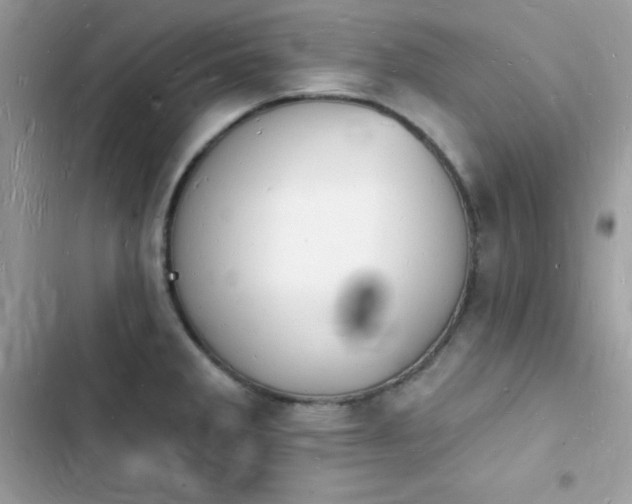 X0000103971285200809191526