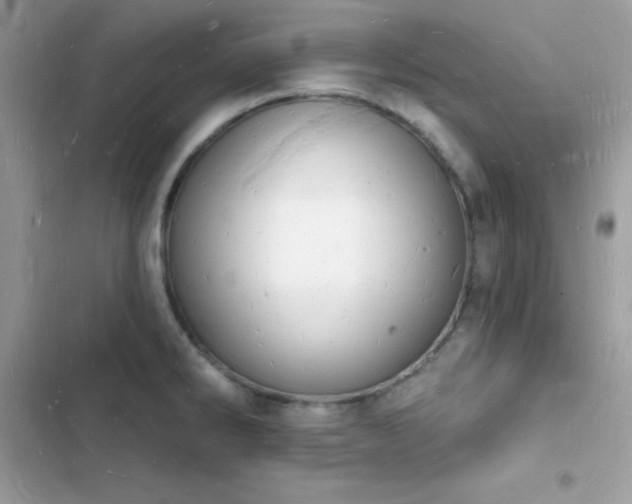 X0000103971286200809191526