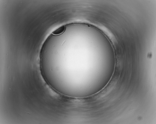 X0000103971287200809191526