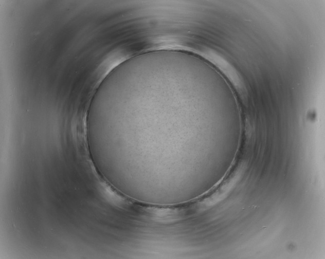 X0000103971289200809191526