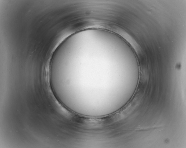 X0000103971290200809191526