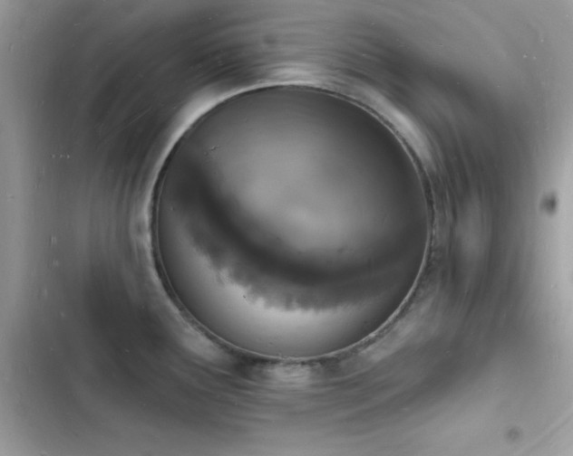 X0000103971291200809191525