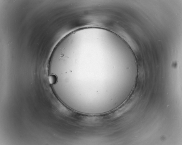 X0000103971292200809191525