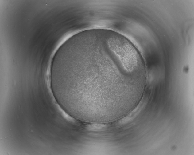 X0000103971294200809191525