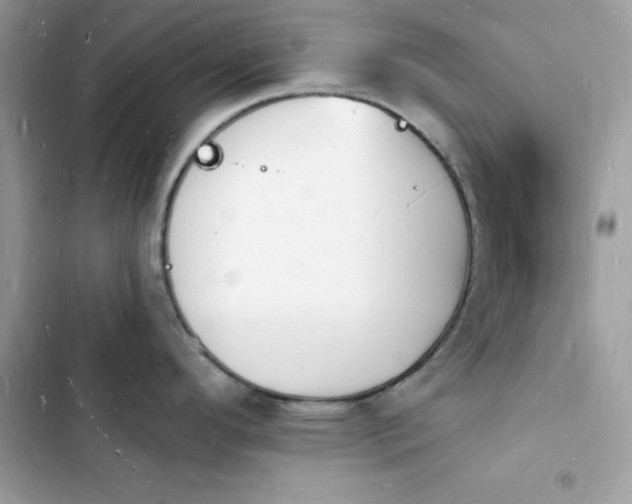 X0000103971296200809191525