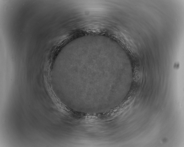 X0000103971297200809191525