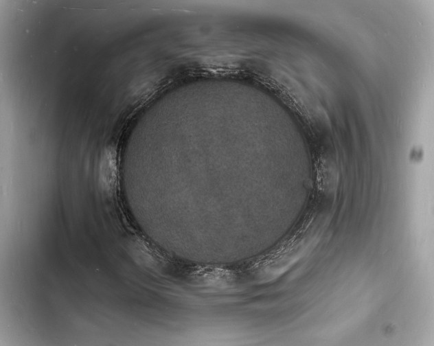 X0000103971298200809191525