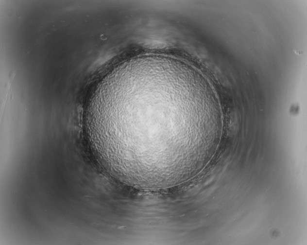 X0000103971301200809191525