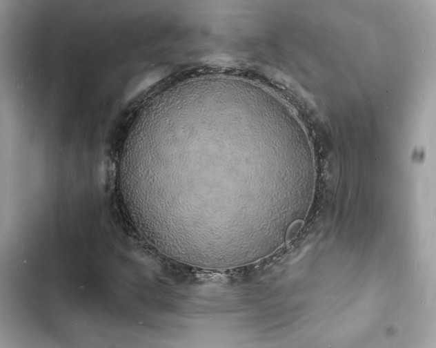 X0000103971302200809191525