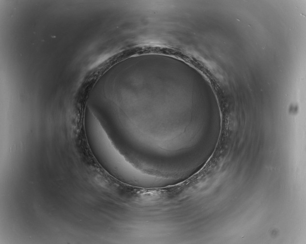 X0000103971303200809191525