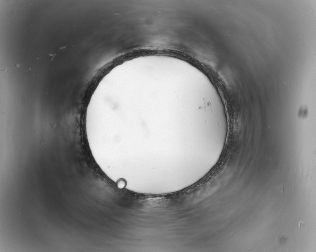 X0000103971304200809191525