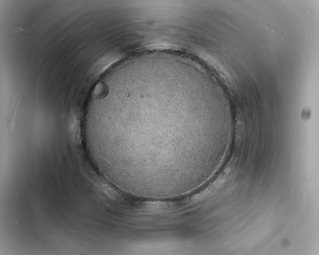 X0000103971305200809191525