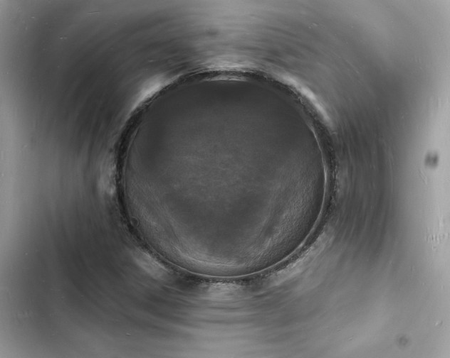 X0000103971306200809191525