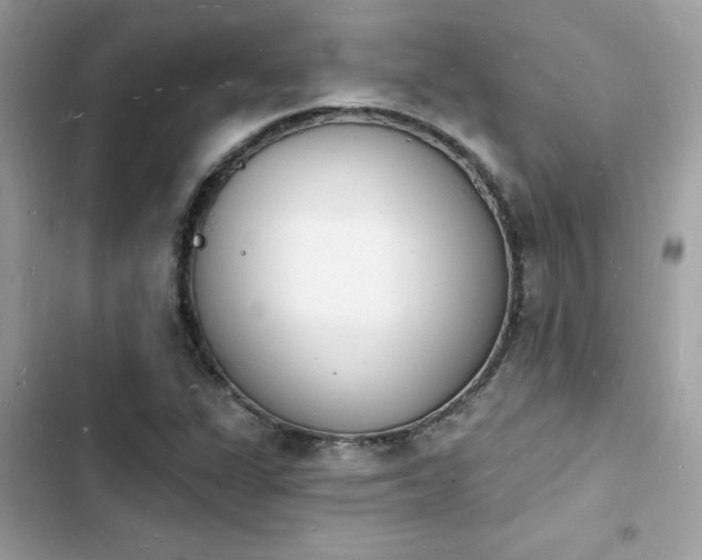 X0000103971311200809191525