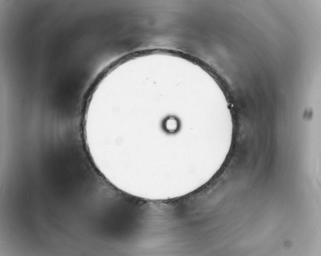 X0000103971312200809191525